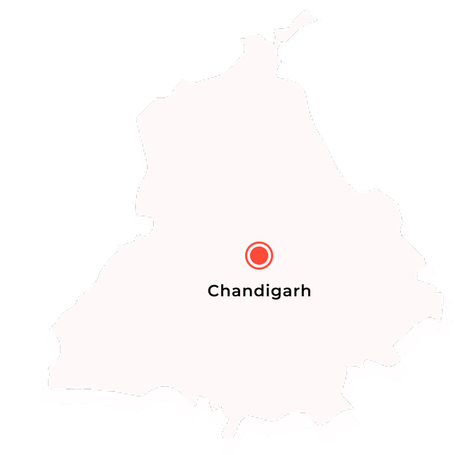 MLM Software Chandigarh, Punjab India