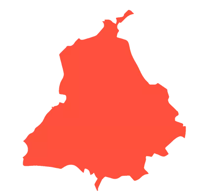 MLM Software Chandigarh, Punjab India