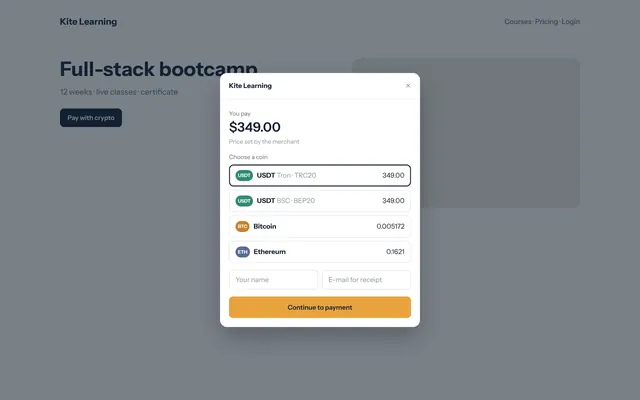 Pay button and checkout pop-up embedded on a merchant website