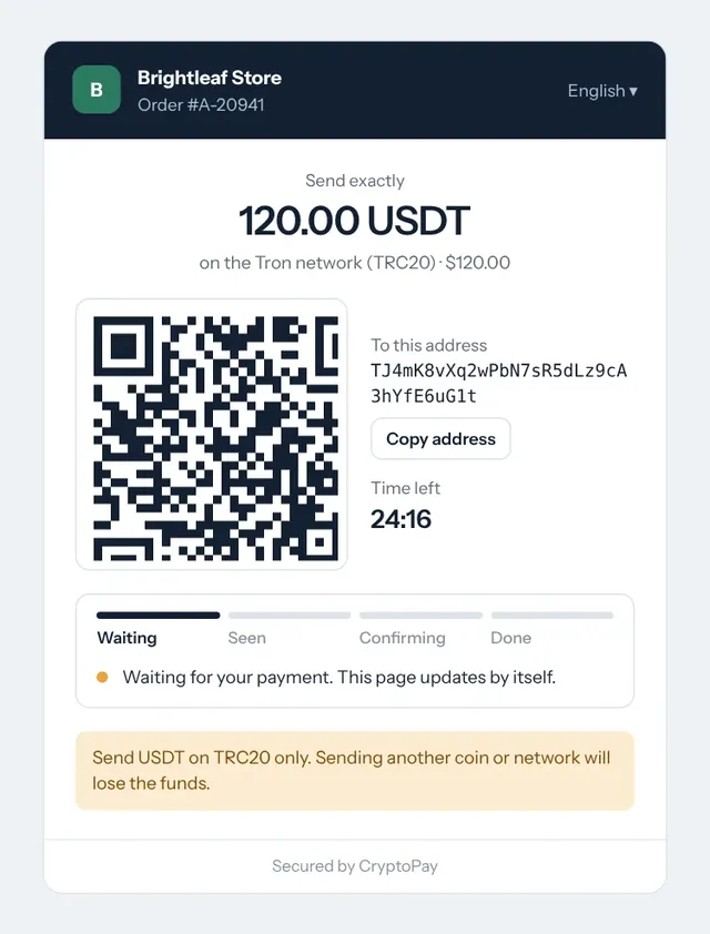 Hosted crypto payment page with QR code, exact amount and countdown