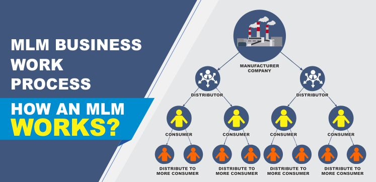 Work Processes of an MLM Software