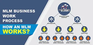 Work Processes of an MLM Software